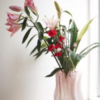 Bloom_201609252
