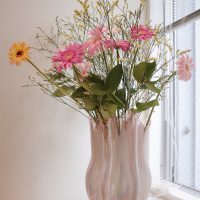 bloom_20170723