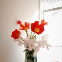 R0041088
