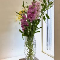 fullsizeoutput_2b50