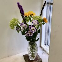 fullsizeoutput_2c20