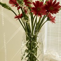 fullsizeoutput_32a4