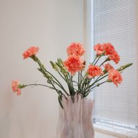 05042309