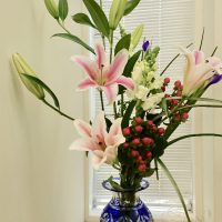 fullsizeoutput_329f