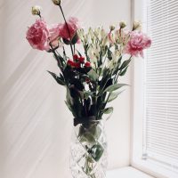 fullsizeoutput_3406