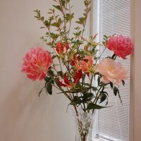 R0042568s