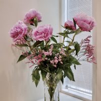 fullsizeoutput_36e6