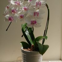 DSC_1791~2