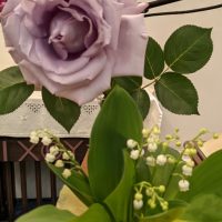 PXL_20210418_013521407