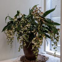 PXL_20211024_022623759