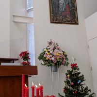 PXL_20211219_025321191