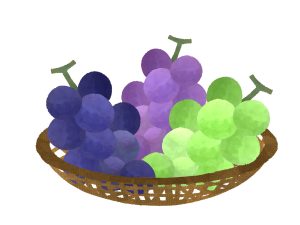 ぶどう１