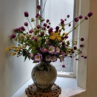 IMG_20231001_103621754_HDR